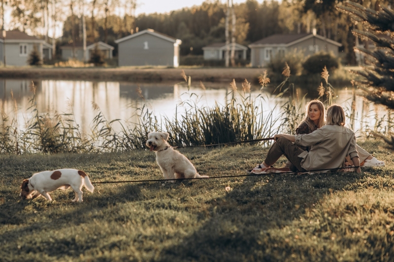 В России появился первый сертифицированный Pet Friendly отель