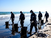 В Анапе вновь зафиксирован разлив нефтепродуктов на побережье: 89 человек привлечены к уборке пляжа